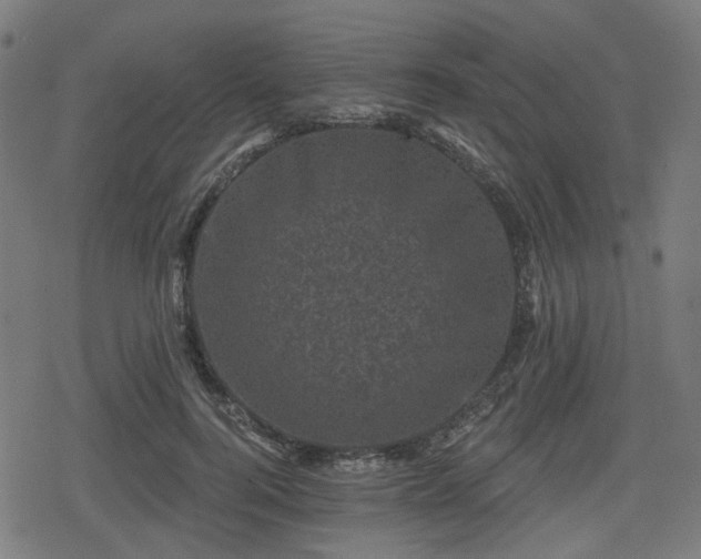 X0000078290744200611101108