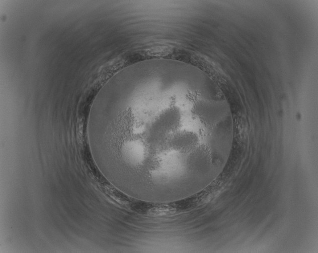 X0000078290745200611101108