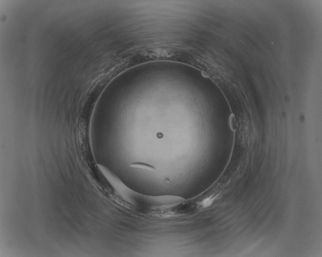 X0000078290747200611101108