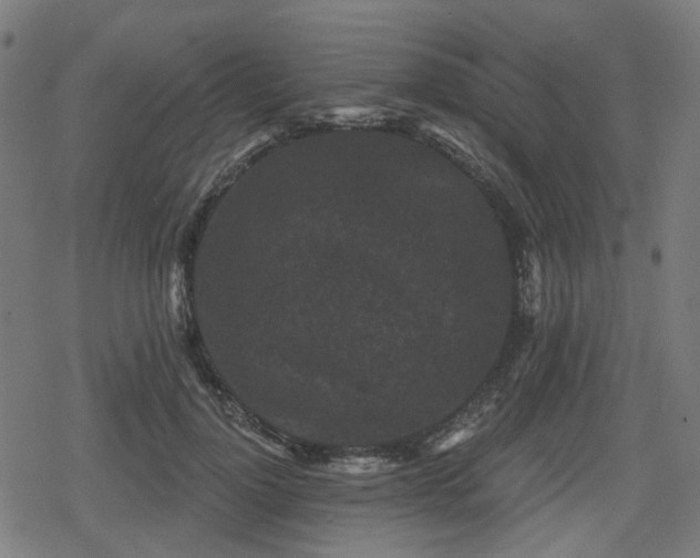 X0000078290748200611101108