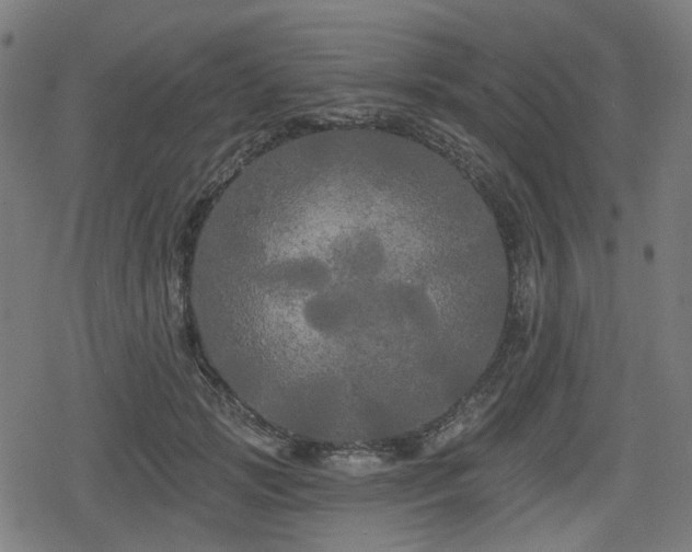 X0000078290749200611101108