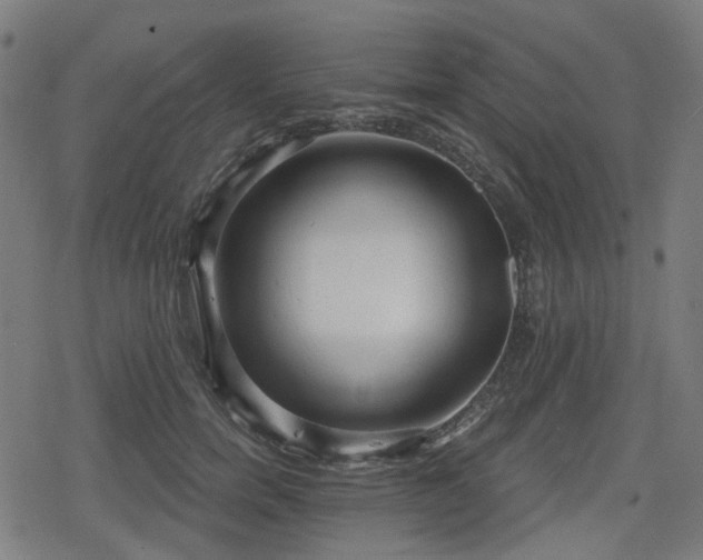 X0000078290750200611101108