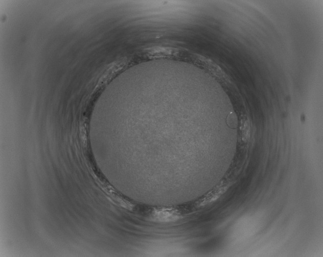 X0000078290753200611101108