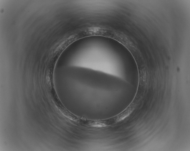 X0000078290754200611101108