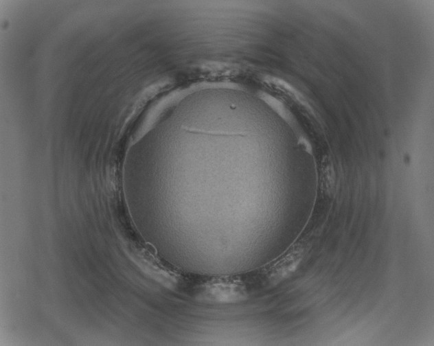 X0000078290756200611101108