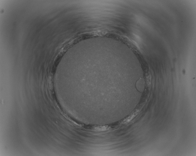 X0000078290757200611101108