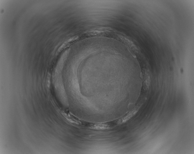 X0000078290758200611101108