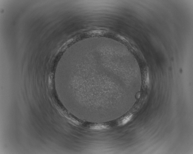 X0000078290759200611101108