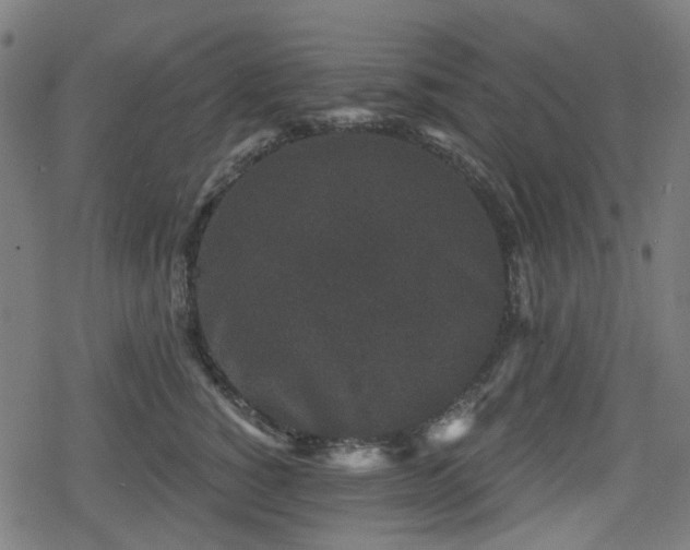 X0000078290760200611101108