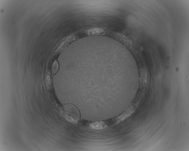 X0000078290761200611101108