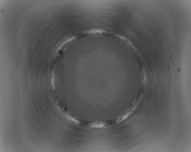 X0000078290762200611101108