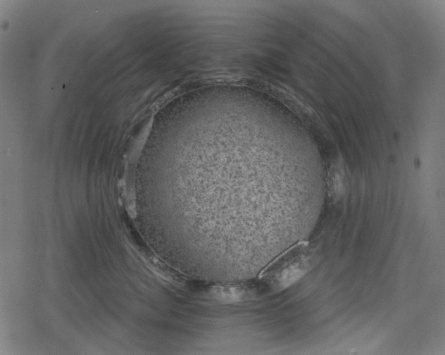 X0000078290764200611101108