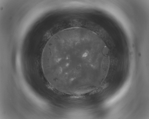 X0000078290765200611101108