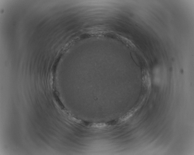 X0000078290767200611101108