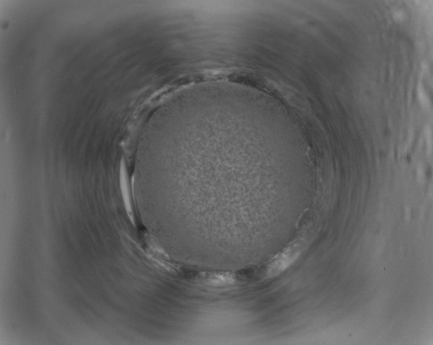 X0000078290768200611101108