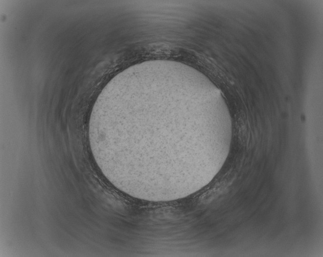 X0000078290769200611101107