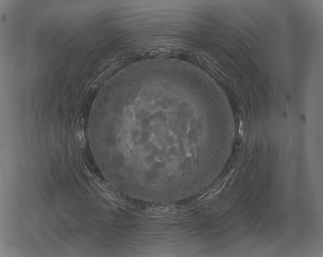 X0000078290771200611101107