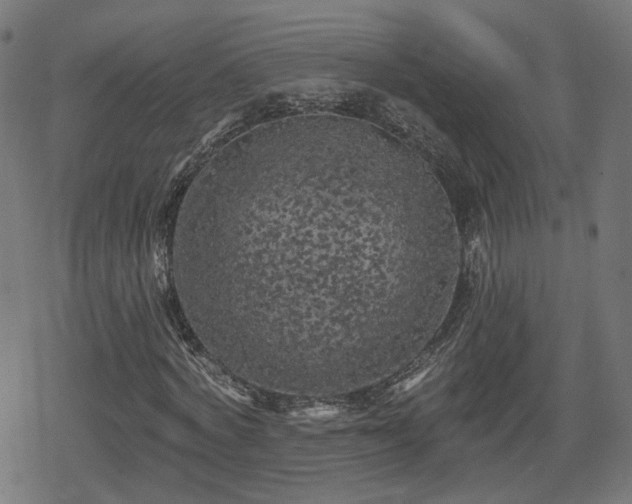 X0000078290772200611101107