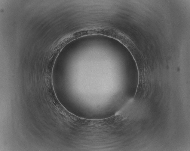 X0000078290773200611101107