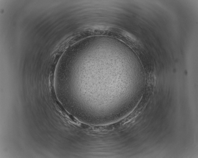 X0000078290774200611101107