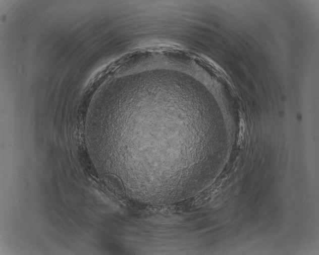 X0000078290775200611101107