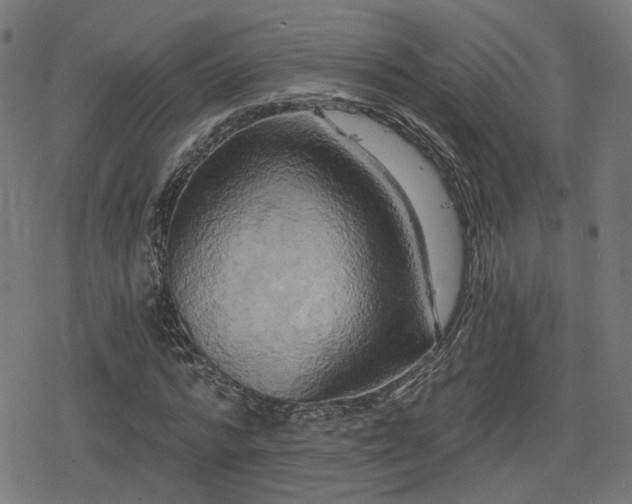 X0000078290776200611101107