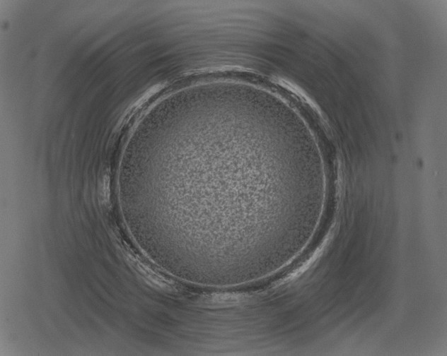 X0000078290777200611101107