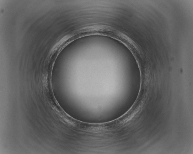 X0000078290778200611101107