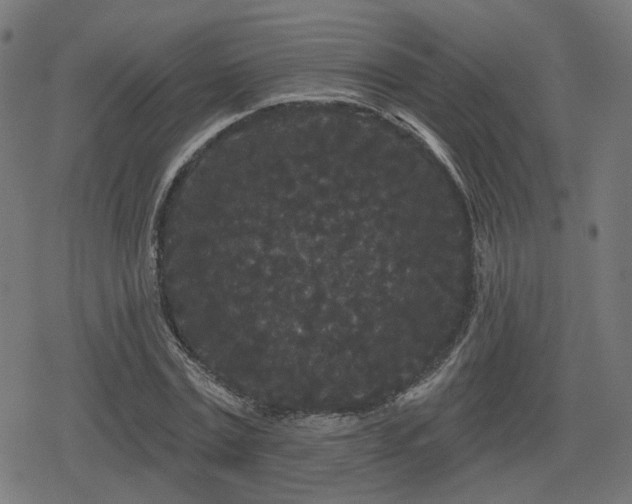 X0000078290779200611101107