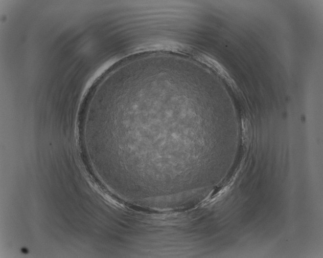 X0000078290780200611101107