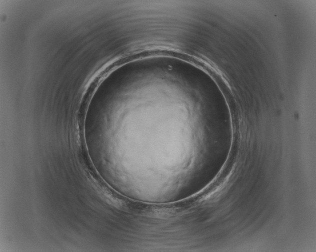 X0000078290782200611101107