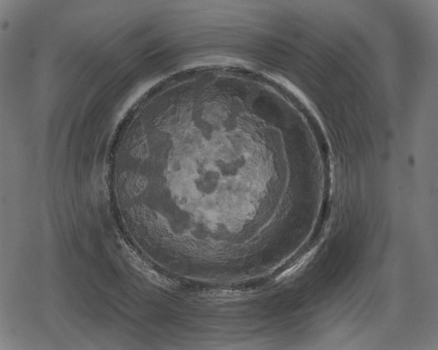 X0000078290783200611101107