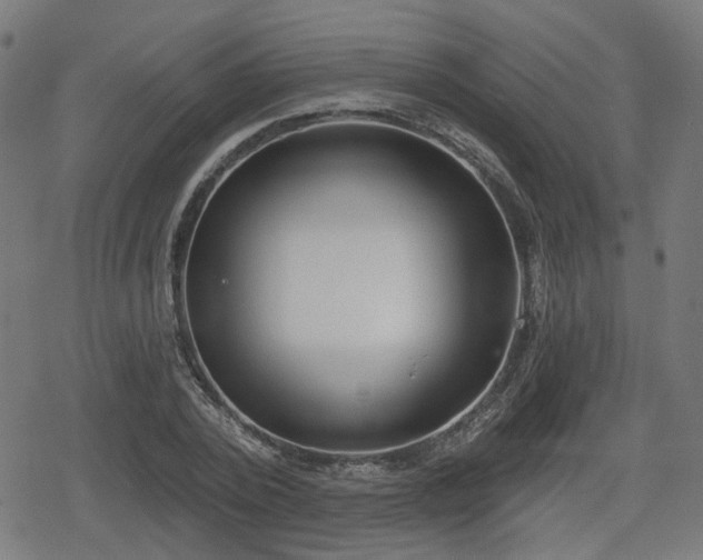 X0000078290784200611101107