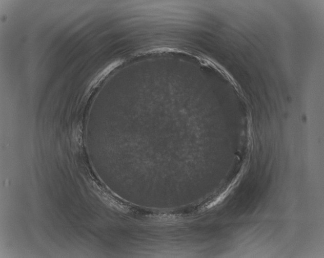 X0000078290785200611101107