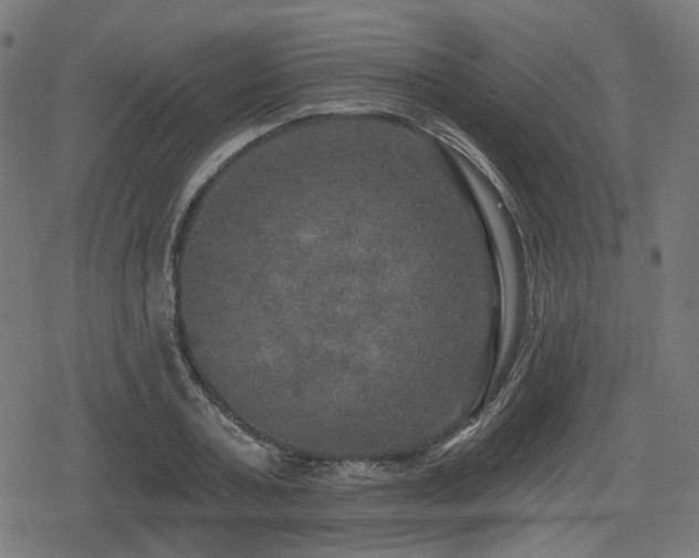 X0000078290787200611101107