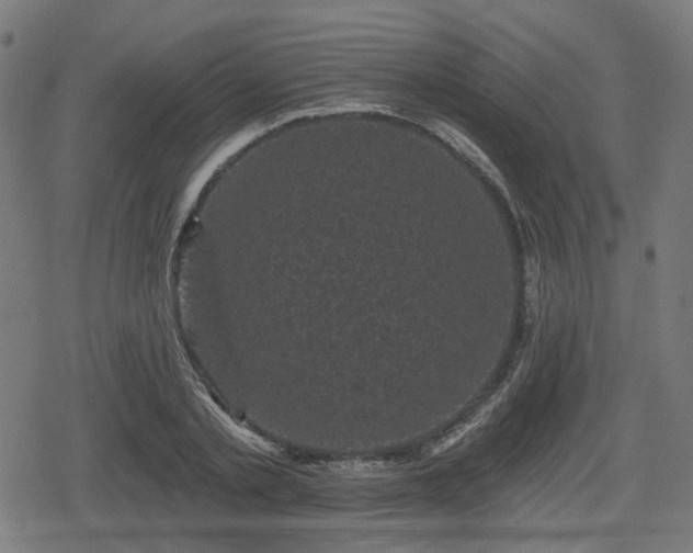 X0000078290789200611101107