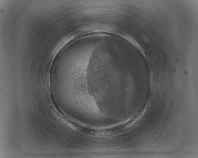 X0000078290790200611101107