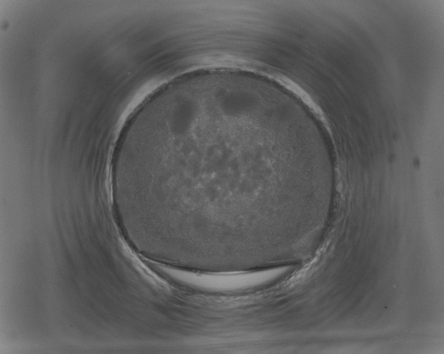 X0000078290791200611101107