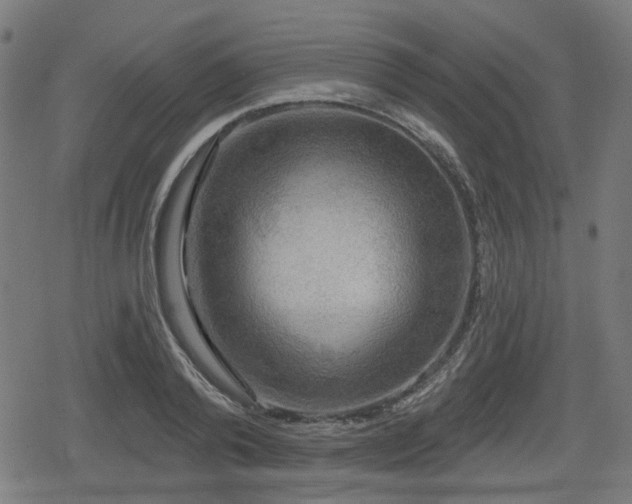 X0000078290792200611101107