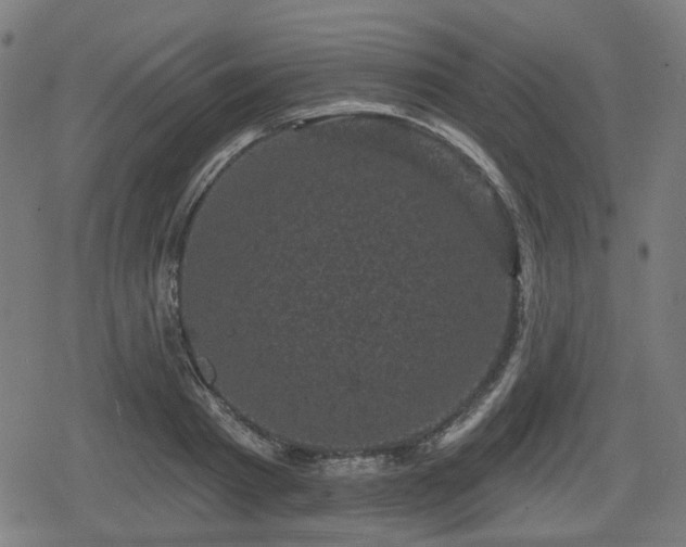 X0000078290793200611101107