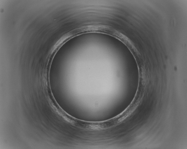 X0000078290794200611101107