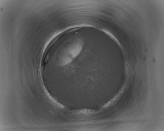 X0000078290797200611101107