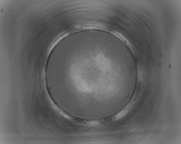 X0000078290798200611101107