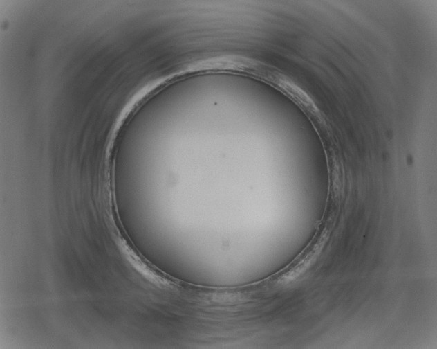 X0000078290800200611101107