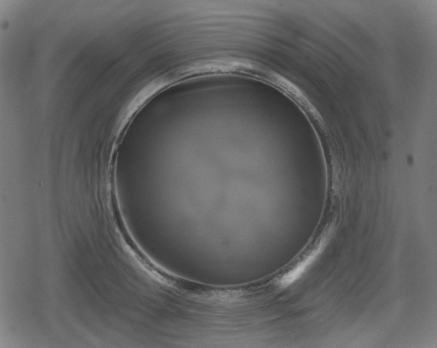 X0000078290802200611101107