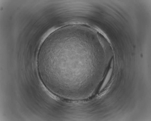 X0000078290803200611101107