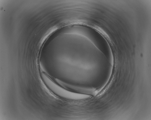 X0000078290806200611101107