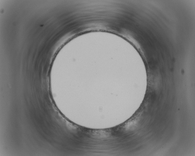 X0000078290807200611101107