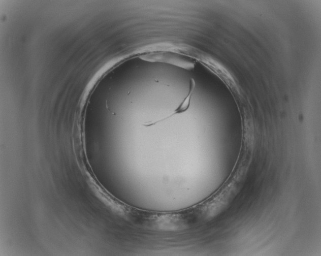 X0000078290808200611101107