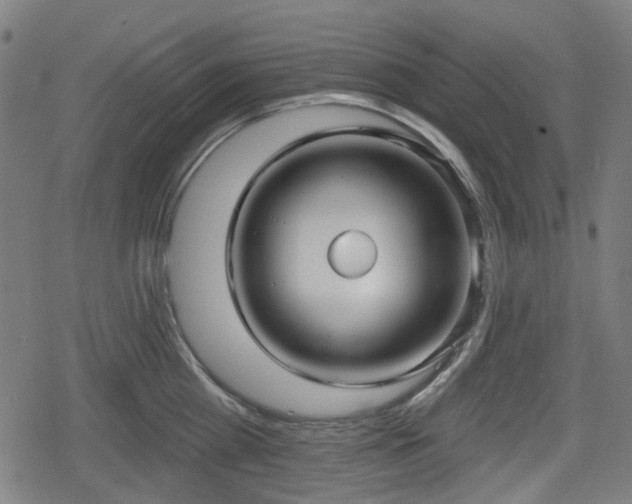 X0000078290809200611101107